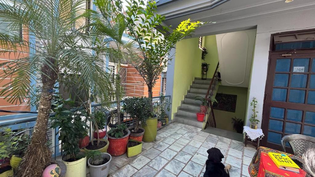 Gungun Homestay Rishīkesh المظهر الخارجي الصورة