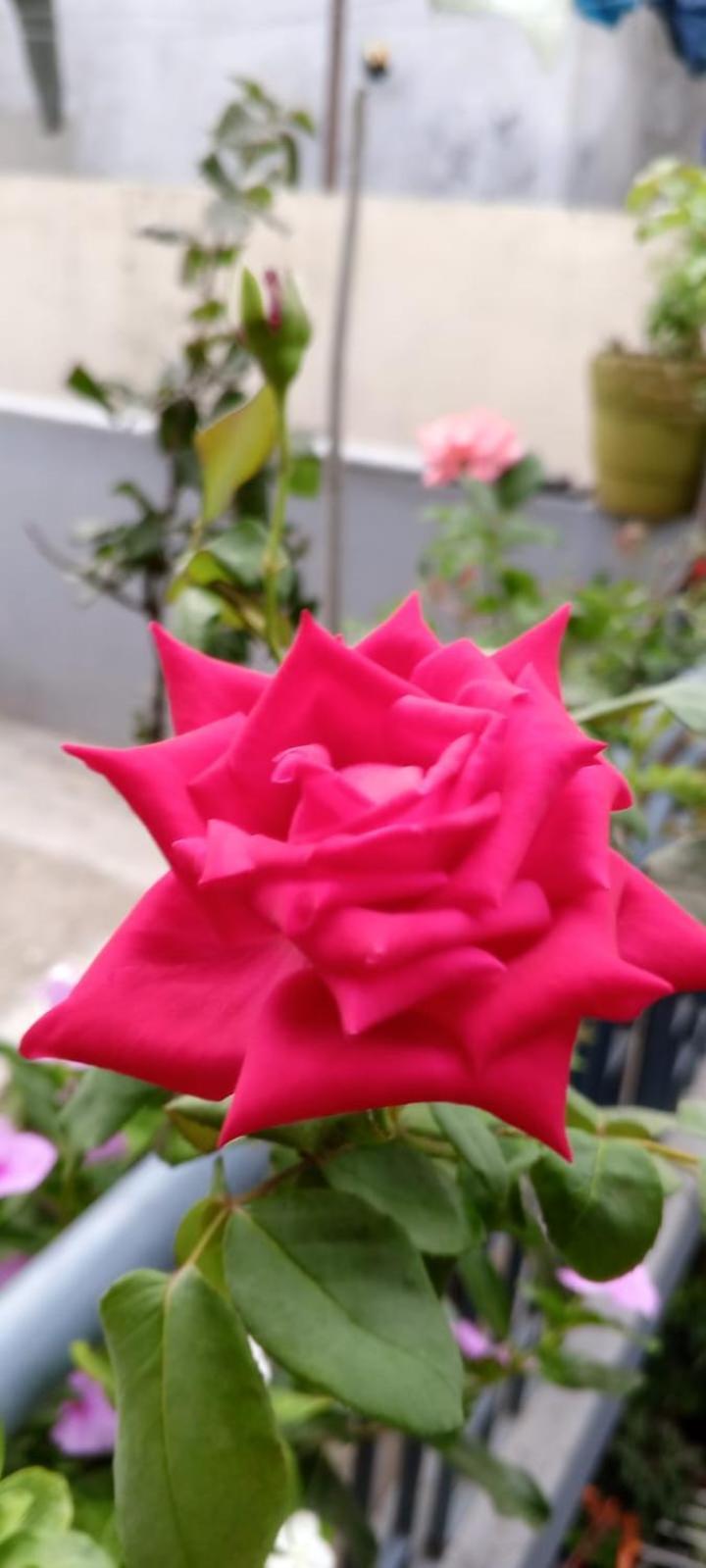 Gungun Homestay Rishīkesh المظهر الخارجي الصورة
