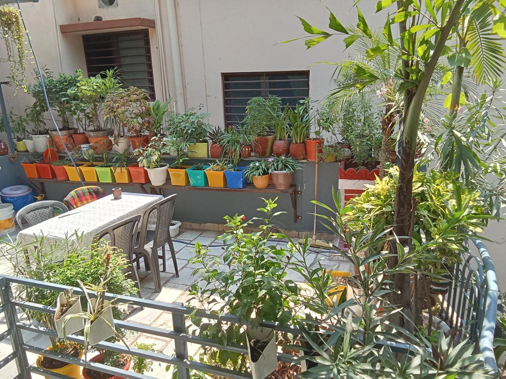 Gungun Homestay Rishīkesh المظهر الخارجي الصورة